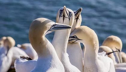 美国原油期货收涨超2%