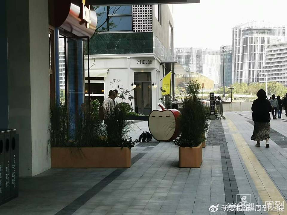 上海现“停狗处”太超前？记者实探：不止一处，有人点赞有人忧
