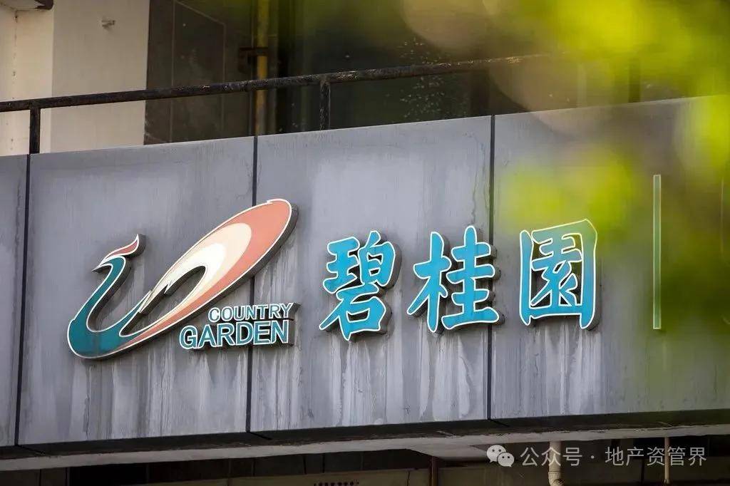 突发，碧桂园地产总经理被限制高消费