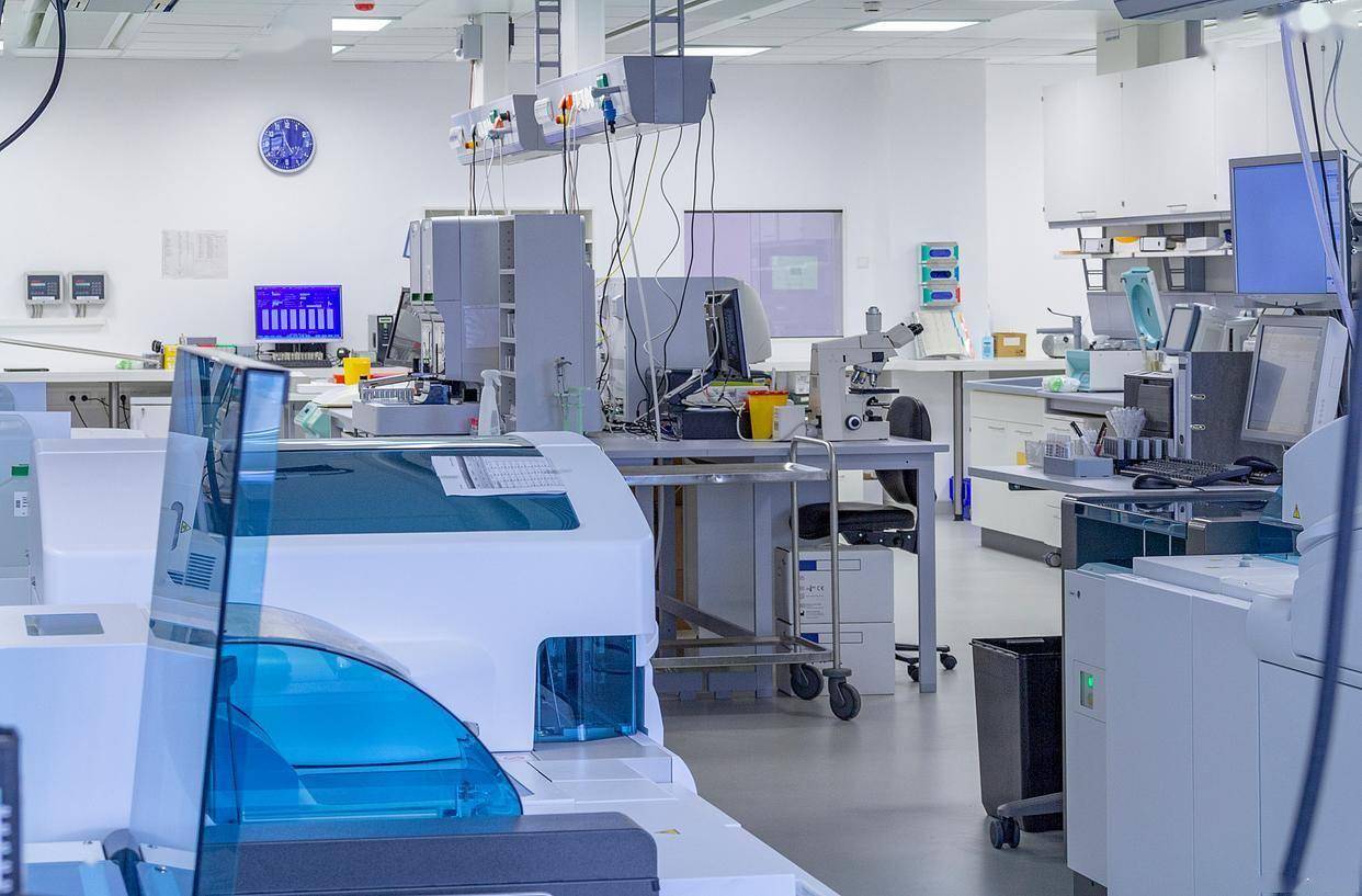 母乳蛋白质组分分析