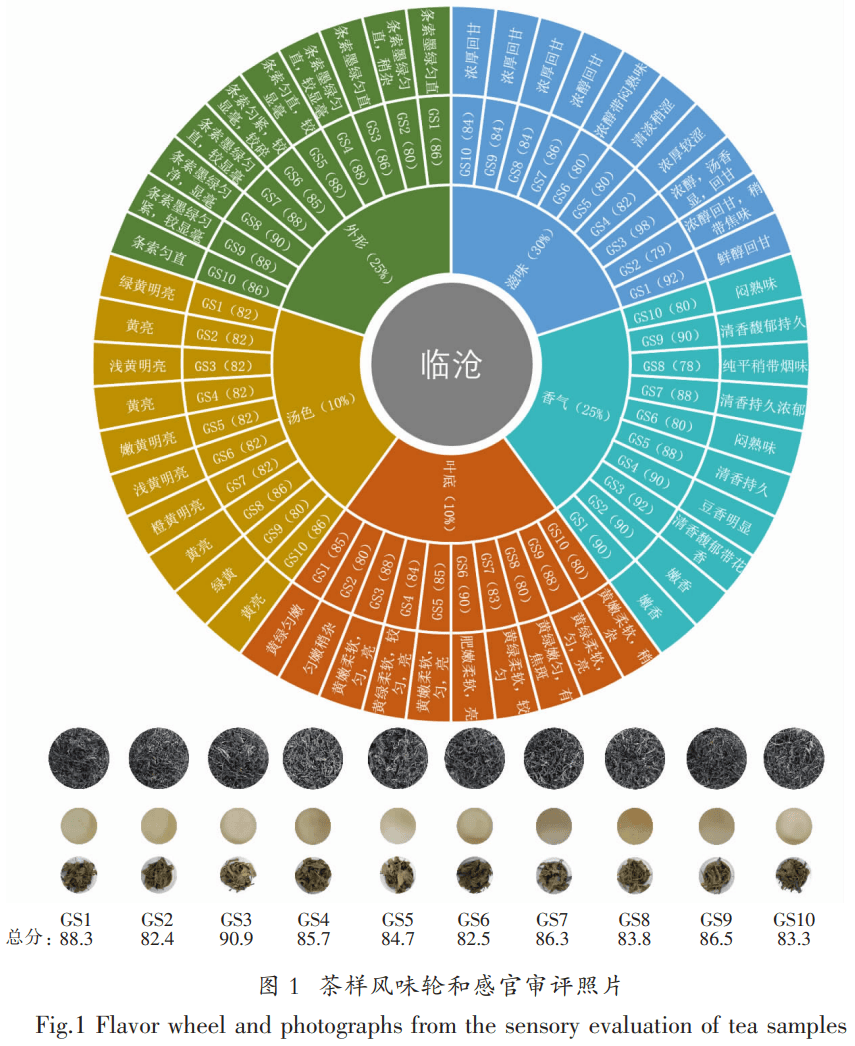 品质研究 | 临沧茶区晒青茶滋味特征性组分分析