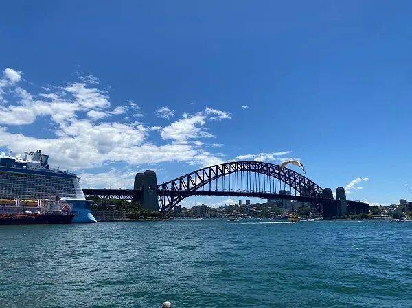 金价频创历史新高黄金股走势强劲 澳交所黄金股IPO受热捧 女富豪莱因哈特大幅押注稀土股 投资价值迅速飙升