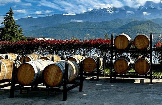 金价频创历史新高黄金股走势强劲 澳交所黄金股IPO受热捧 女富豪莱因哈特大幅押注稀土股 投资价值迅速飙升