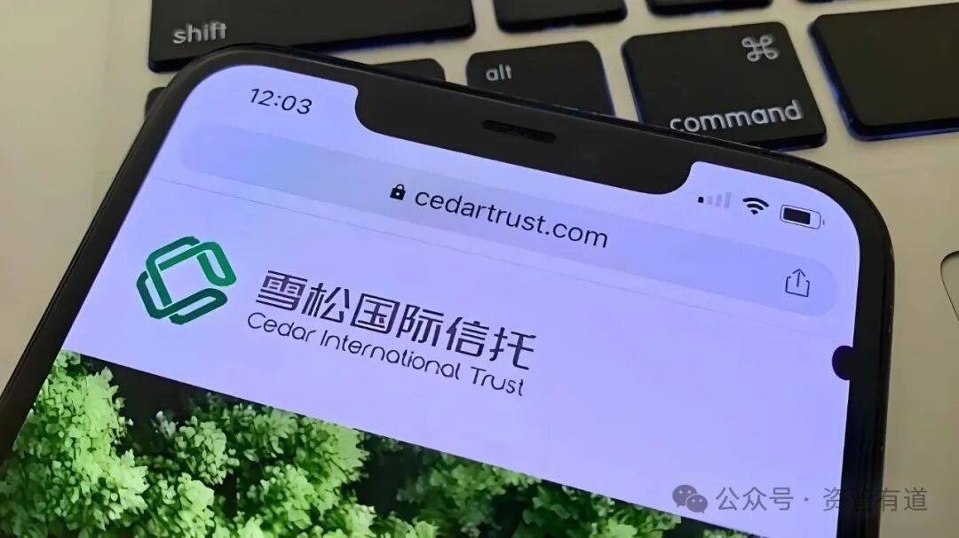 离谱！雪松信托净值跌到负数！像原油宝、上银基金子这样的案例早该警惕