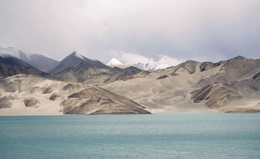 THPX信号源：WTIBTC预测模型如何为原油交易注入新优势