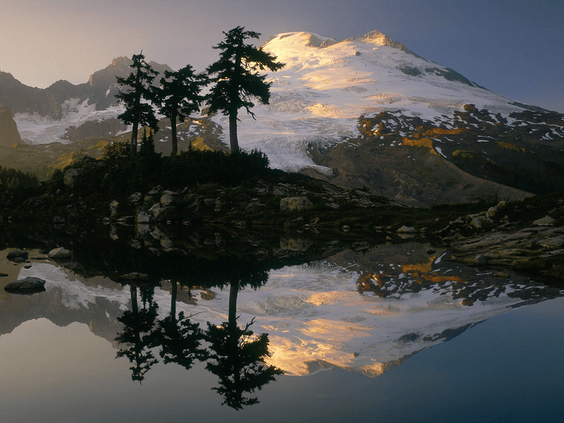 THPX信号源：WTIBTC预测模型如何为原油交易注入新优势