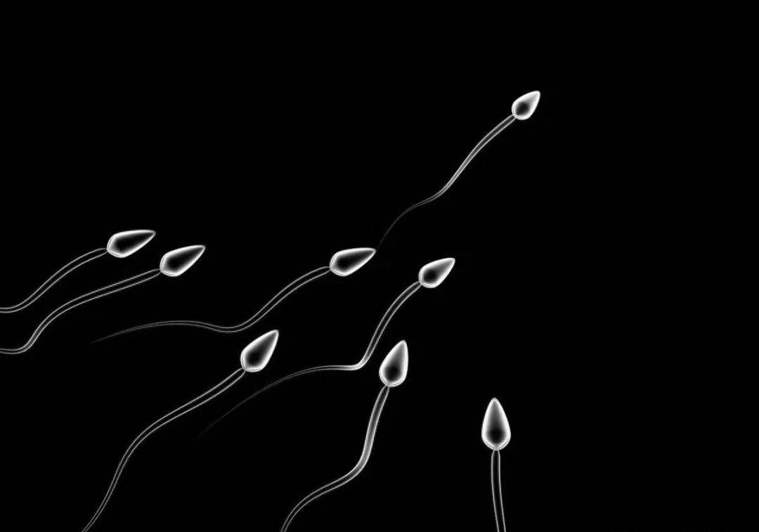 男性精子质量太差怎么办?多吃点这些食物,也许有得救!