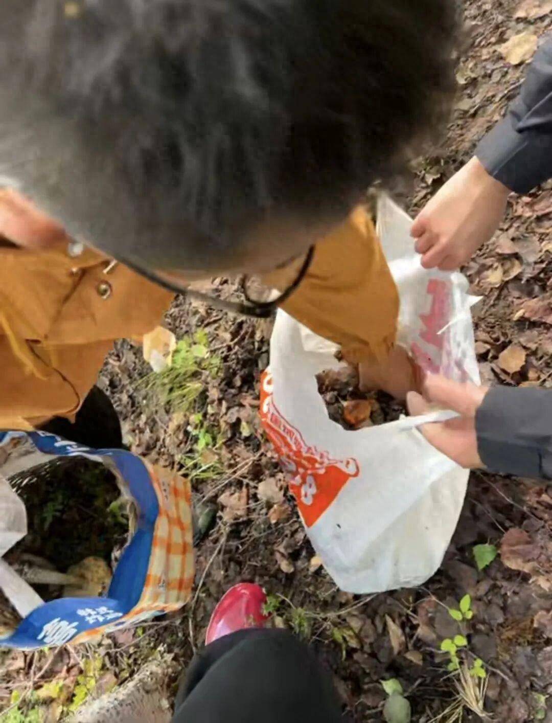情侣川西旅游，辛苦采摘10斤菌子，遇到当地小孩哥果断扔掉8斤，当事人：他丢的时候好潇洒