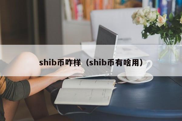 shib币创始人两个小时研发的简单介绍