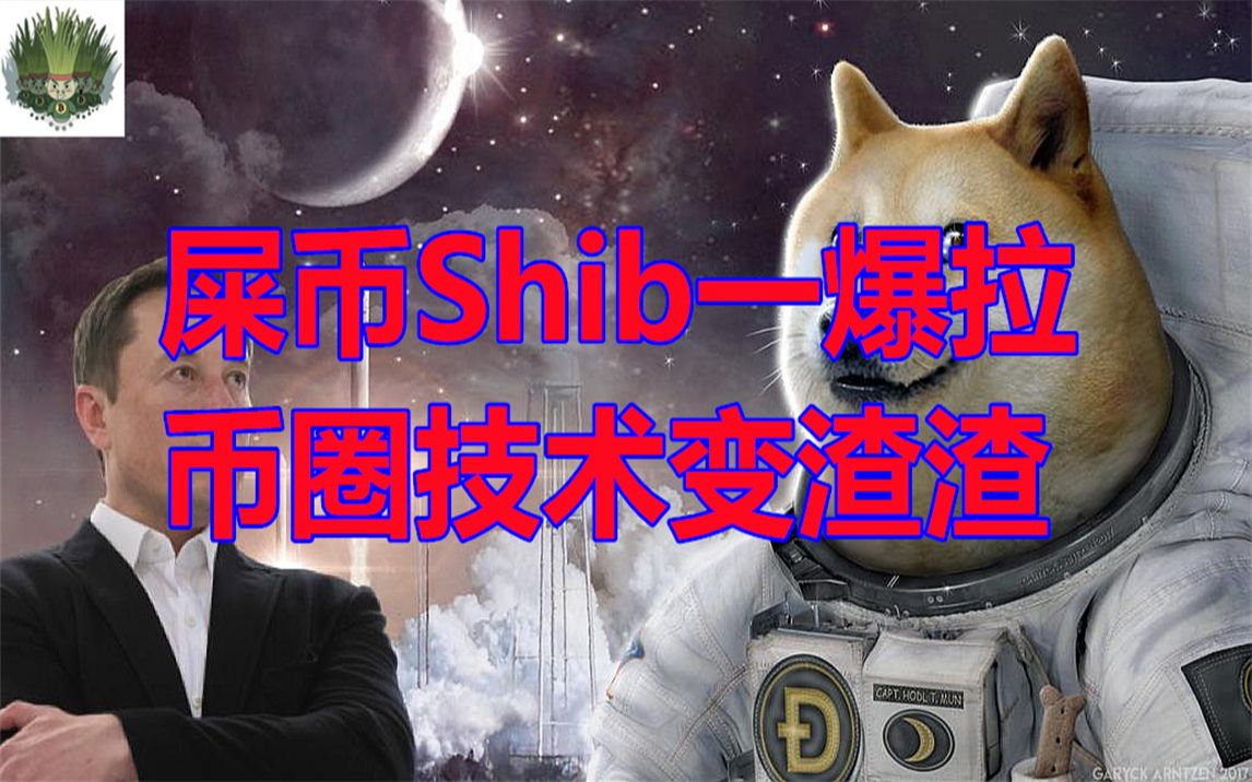 shib与狗狗币的关系(shib币和狗狗币的关系)