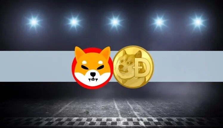 shib币上架了哪些交易所(shib币什么时候上的交易所)