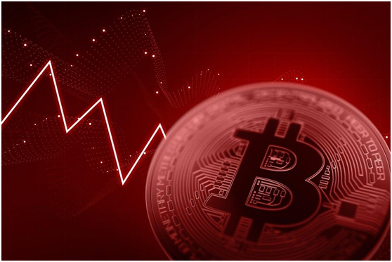 播放关于shib币的简单介绍