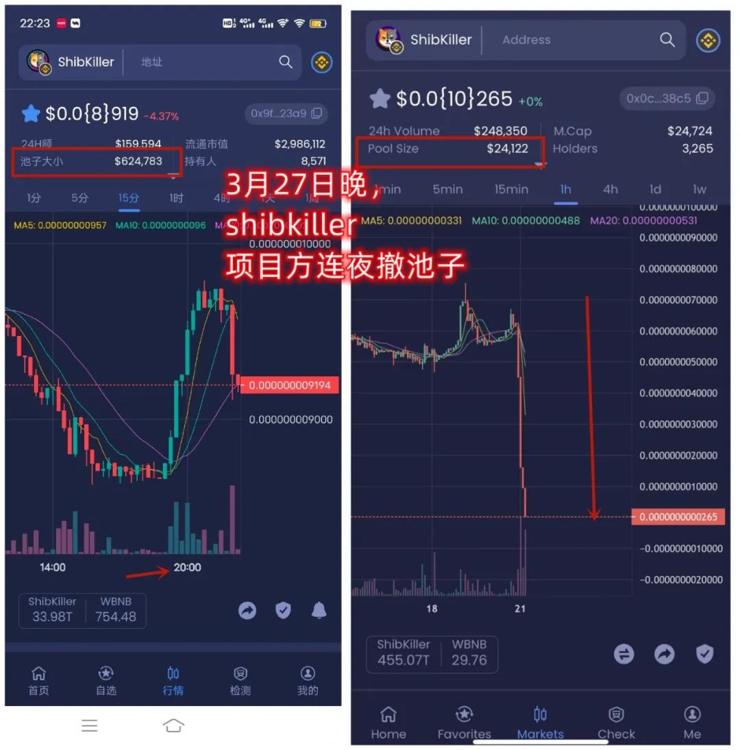 SHIB这币怎么样(shib币前景不可限量)