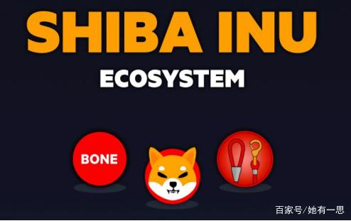 下一个狗狗币shib是谁(shib会是下一个狗狗币吗)