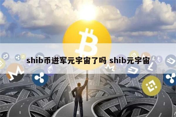 shib币销毁速度快(shib币什么时候出销毁机制)