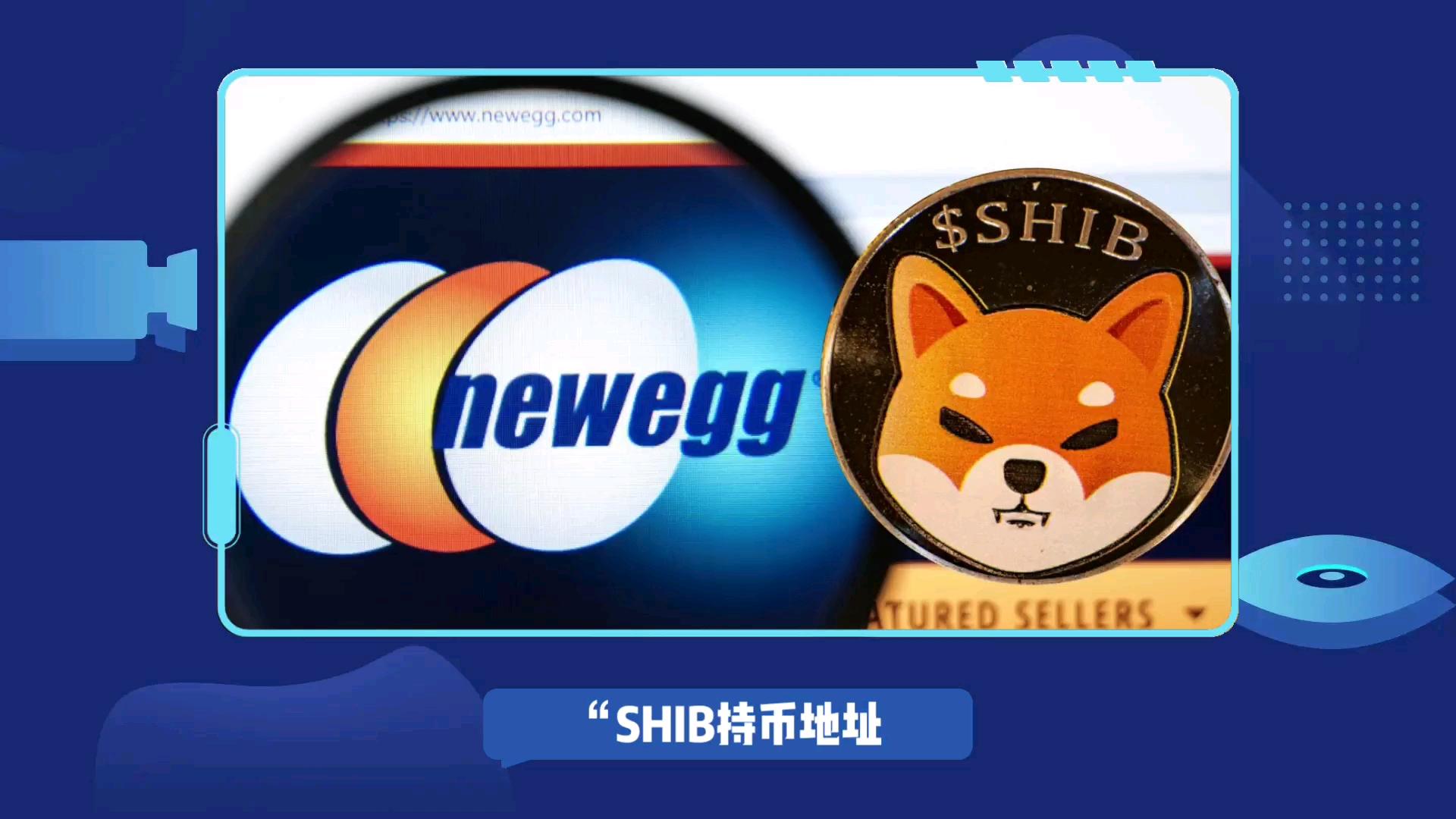 shib币数量多少(shib币有多少枚)