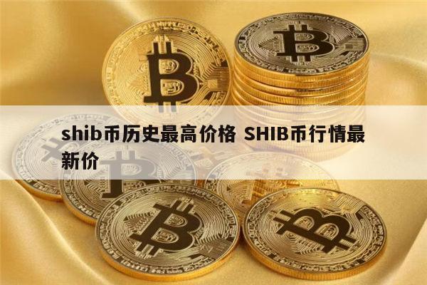 shib币的人群(shib币值得投资吗)