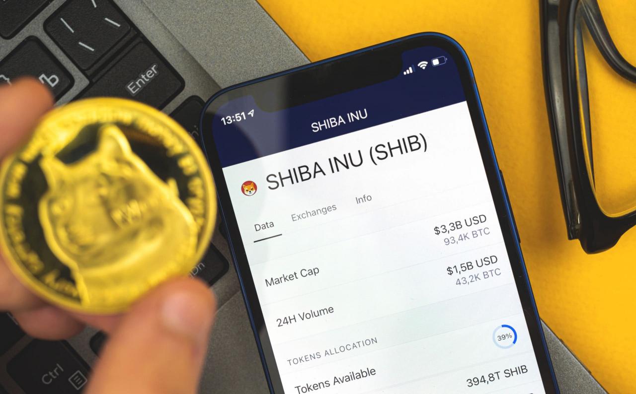 宝二爷谈shib币(柴犬币1000元赚了8000万)