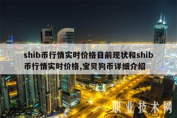 shib币创立时间(shib币最初在哪发行)