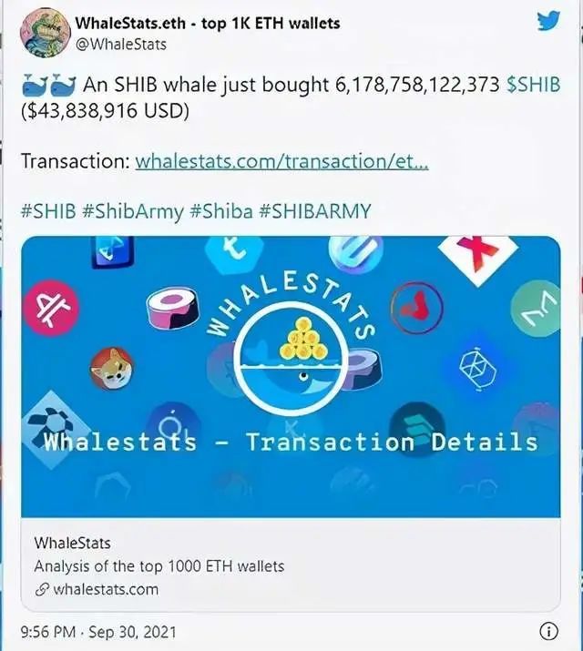 包含shib币在哪个app买的词条