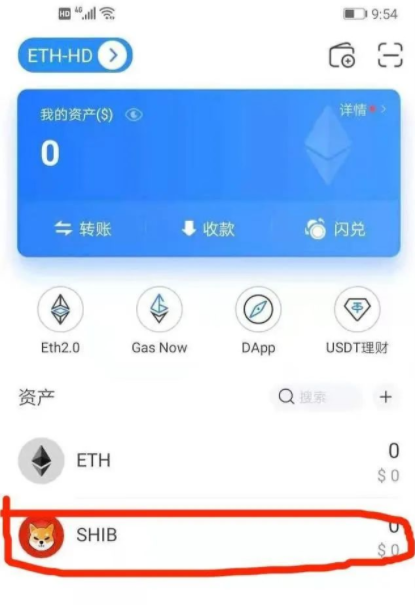 shib币可以买期权吗(shib币可以长期持有吗)