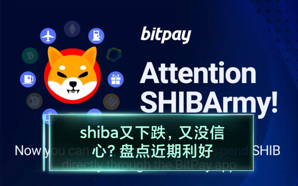 shib币还有利好消息吗(shib币未来到底有没有价值)