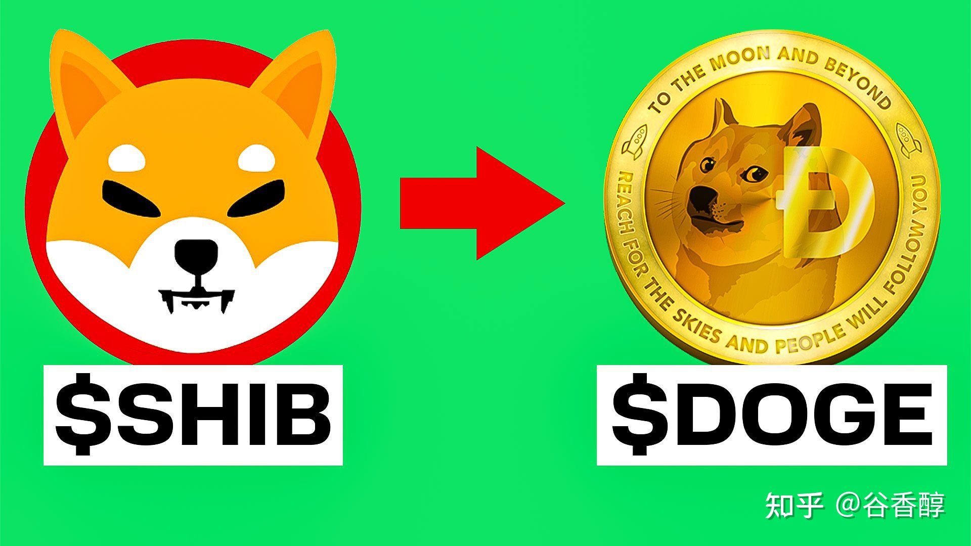 shib提币到tp走哪个通道(柴犬币shib最新消息2023)