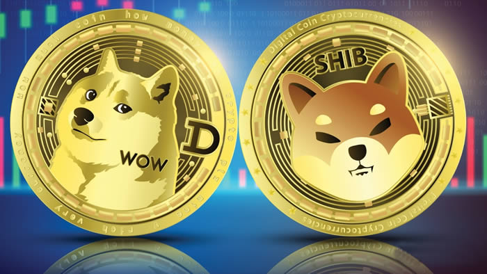 shib币创立时间(shib币100元赚16亿)