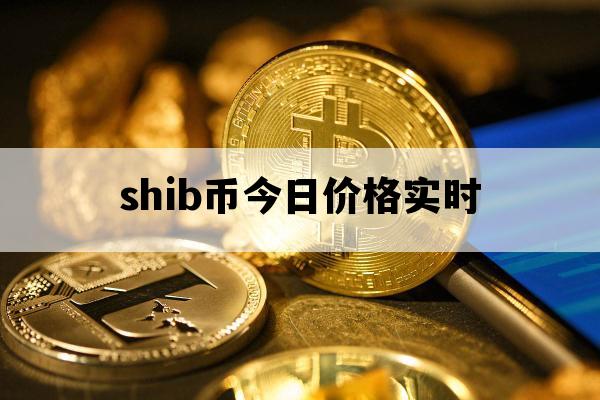 shib币行(shib币实时行情)