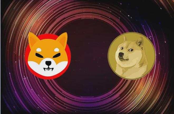 下一个狗狗币shib是谁(狗币有可能成为第二个比特币吗)