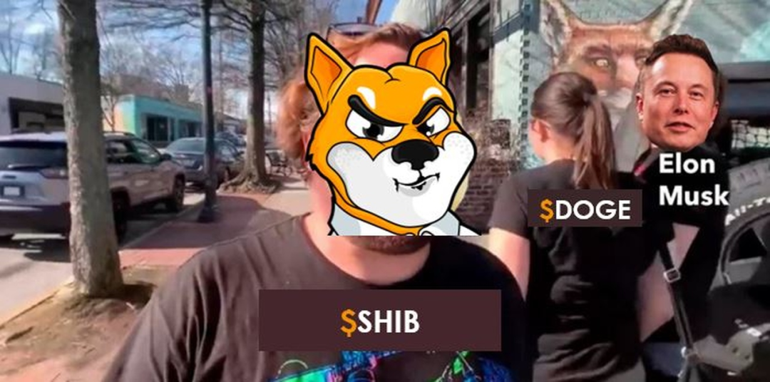 下一个狗狗币shib是谁(狗币有可能成为第二个比特币吗)