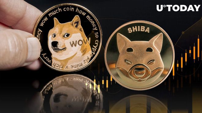然后用狗狗币转换成shib的简单介绍