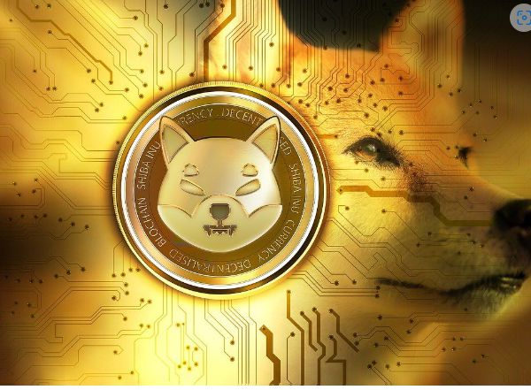 SHIB币价格会超过狗比吗的简单介绍