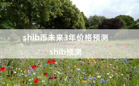 shib币有投资前景吗(正规usdt交易平台官网)