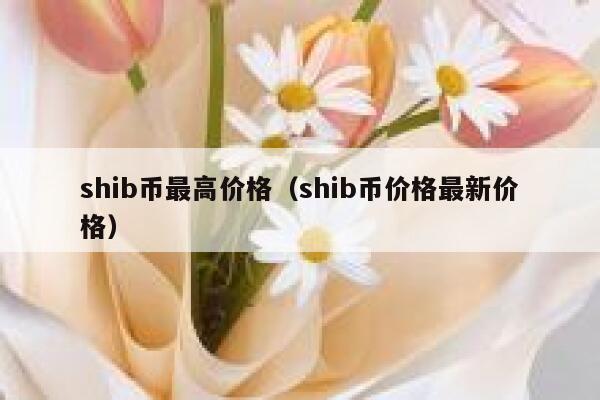 shib币能不能再涨3万倍的简单介绍