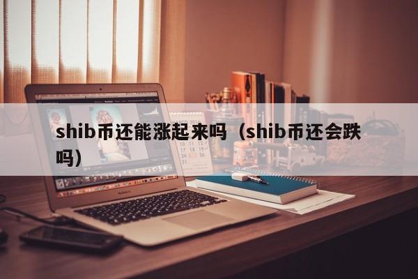 shib币最新销毁量(shib币销毁机制是什么意思)