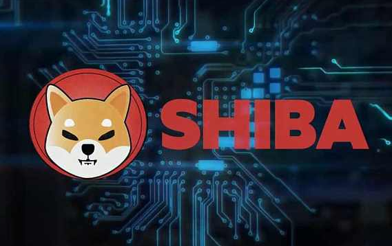 火币上的shib怎么加杠杆(火币网shib币价格今日行情)