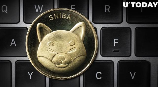 shib币持仓查询(shib币实时价格行情)