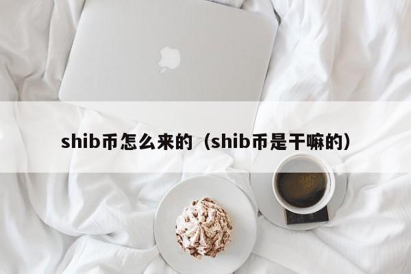 shib币放在哪安全(shib币放在哪个钱包安全)