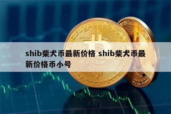 shib币数量多少(SHIB币历史最高价)