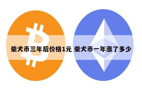 shib币买跌和买涨是啥意思(一千块钱买了shib赚了7200万)