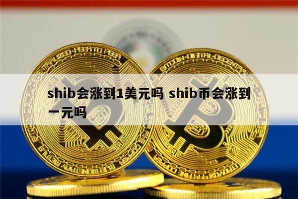 shib币放在哪安全(shib币放在钱包里有收益吗)