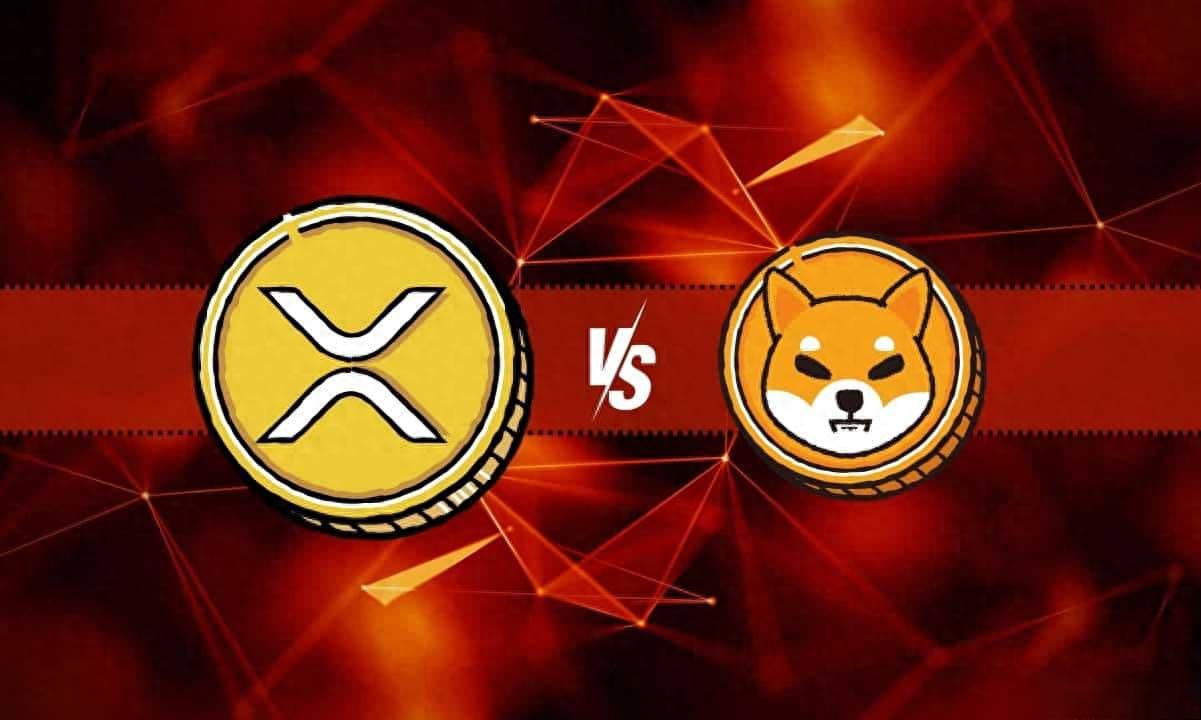 shib会跟比特币一样吗(shib币是个币有没有潜力)